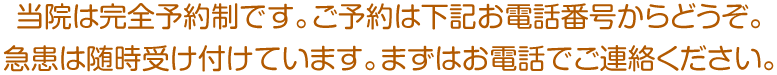 当院は完全予約制です。ご予約は下記お電話番号からどうぞ。