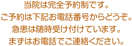 急患は随時受け付けています。まずはお電話でご連絡ください。