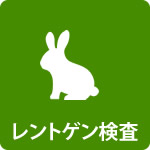 レントゲン検査